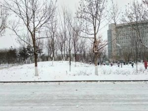 xueinzhengzhou-300x225.jpg