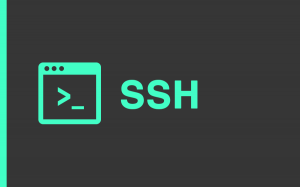 ssh-big-300x187.png